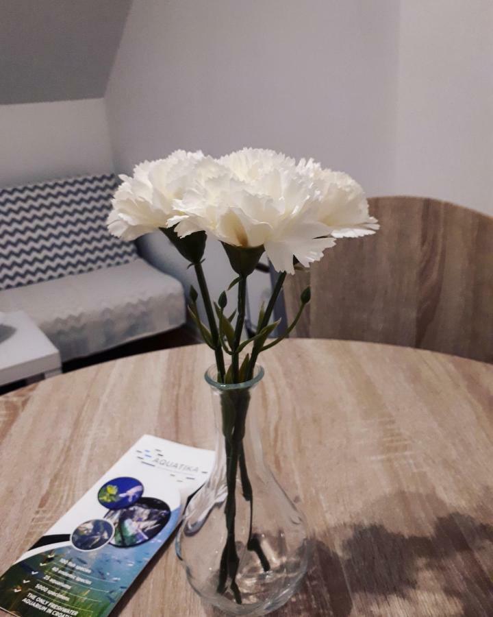 Apartman Lena Tusilovic 외부 사진