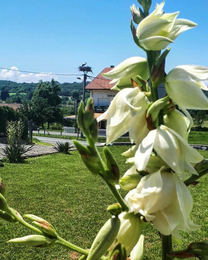 Apartman Lena Tusilovic 외부 사진